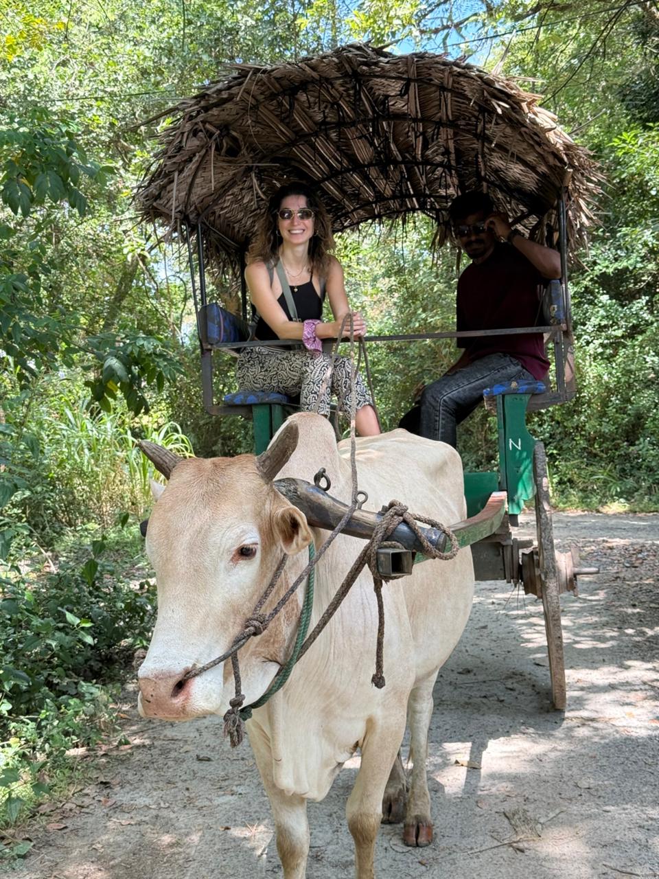 Sri Lanka Travel – Daddy Tours Photo 3